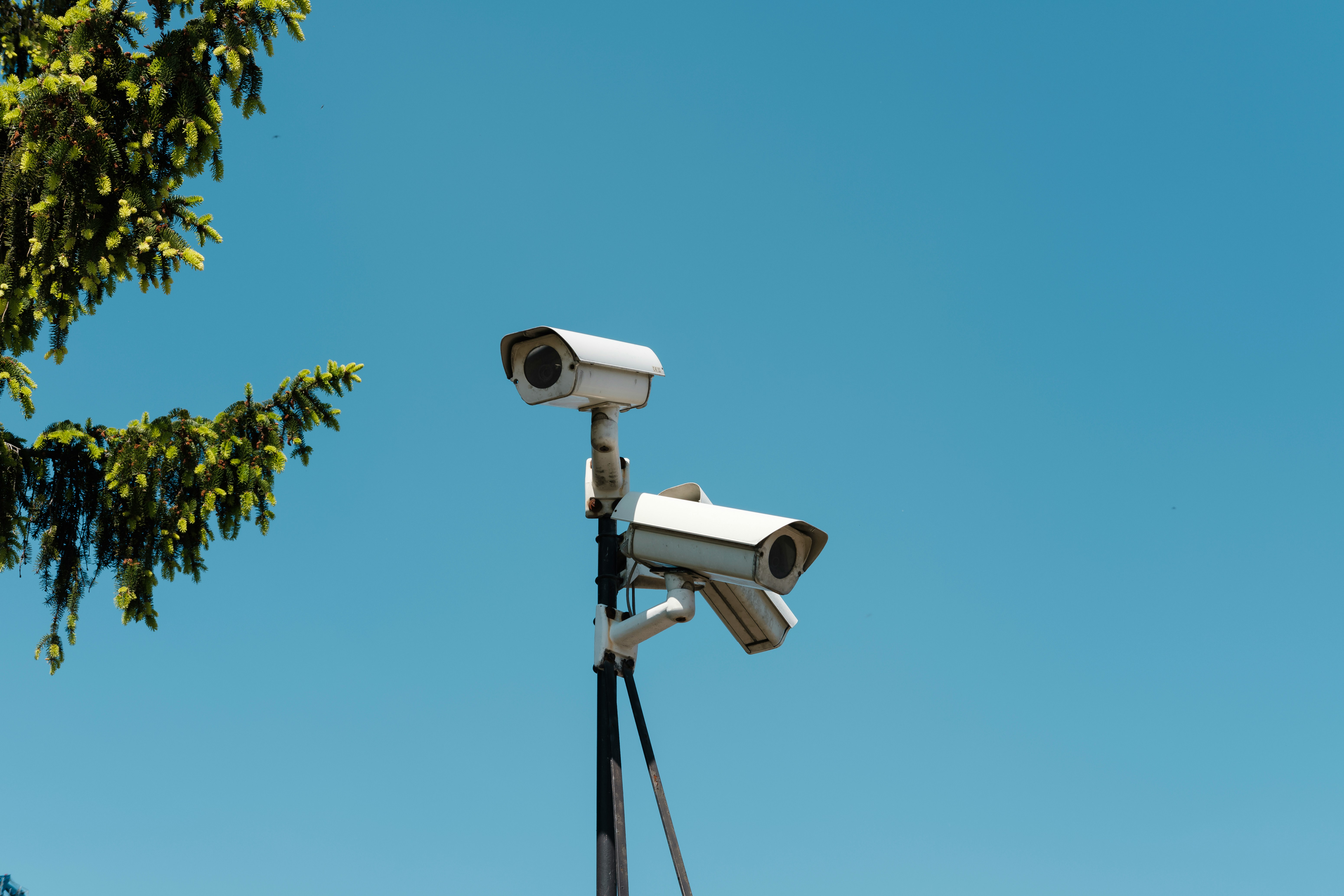 Outdoor surveillance cameras on a metal post, with tree branches in the corner of the frame.